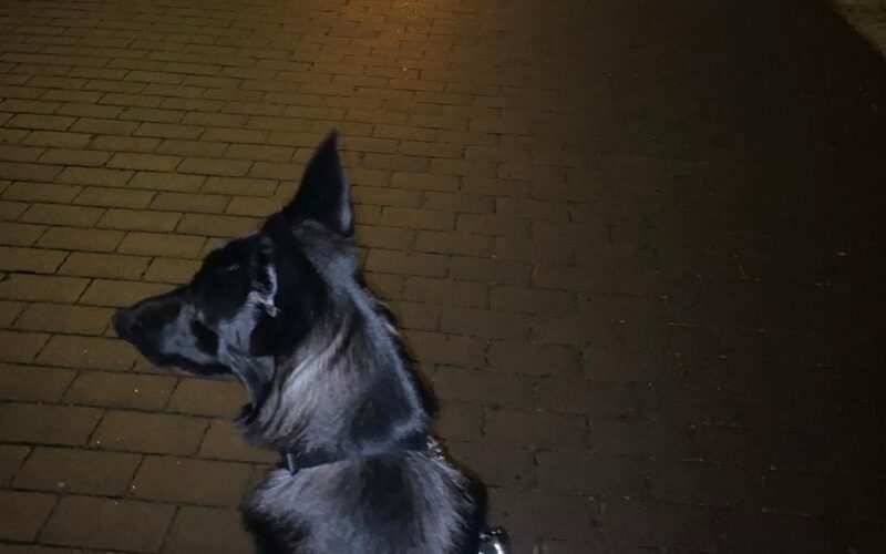 WhatsApp Image 2026-07-07 at 13.53.50 (2)