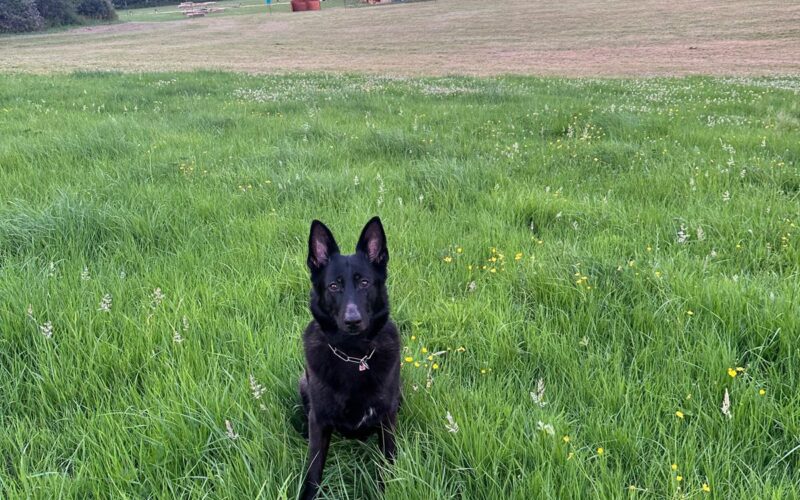 WhatsApp Image 2026-07-07 at 13.53.50 (8)